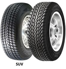 Roadstone 255/50R19 107V Winguard SUV (старше 3-х лет)