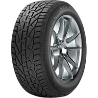 Pirelli Formula 205/60R16 92H Winter (2022 г.в.)